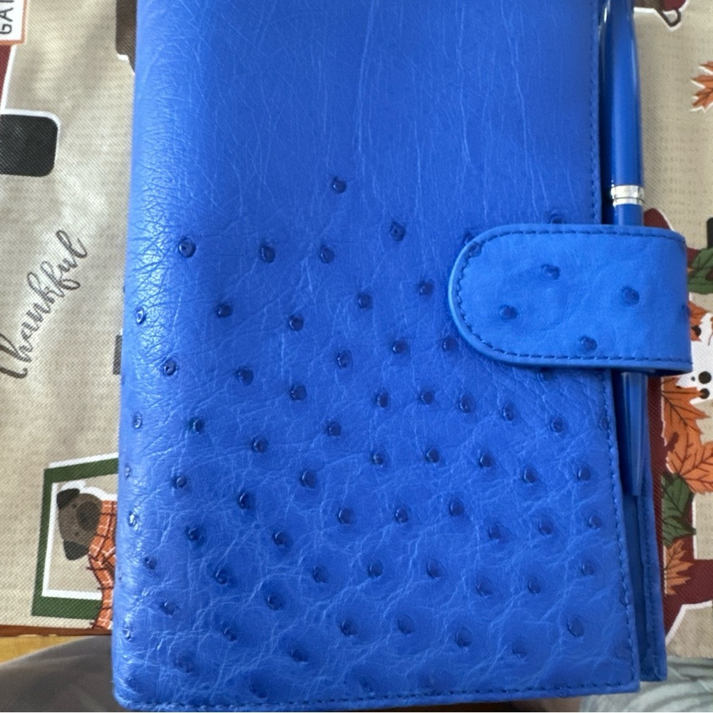 Beautiful Gillio real Ostrich less quill planner.